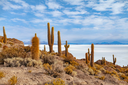 Group Trip 2026 - Bolivia with Harmen Hoek