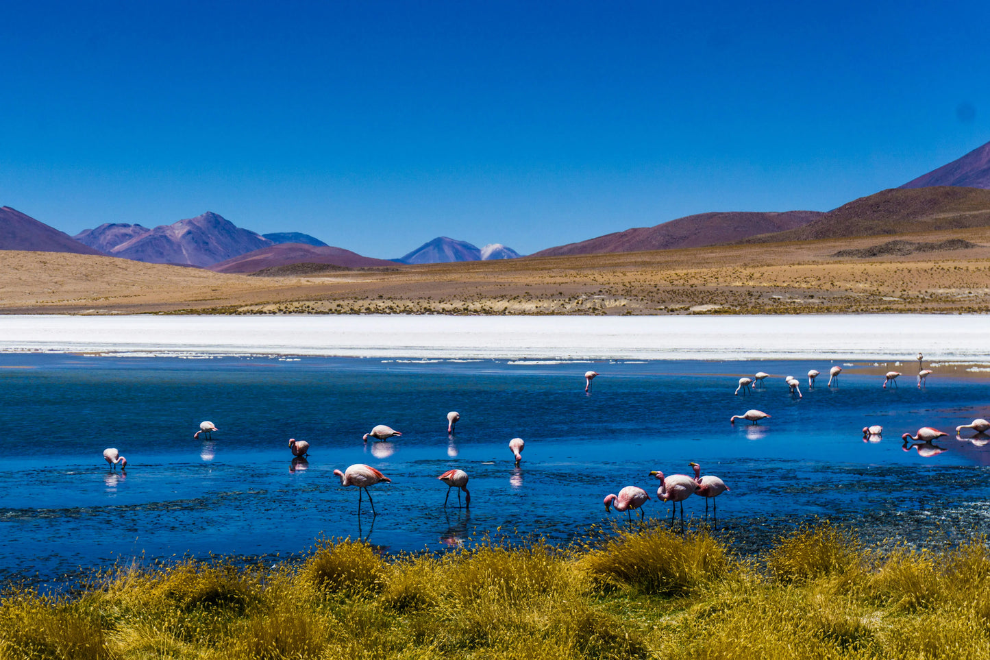 Group Trip 2026 - Bolivia with Harmen Hoek