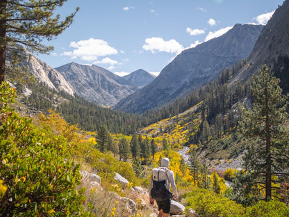 Fall colors in the Sierras