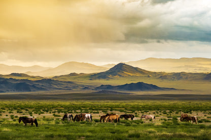 Mongolia