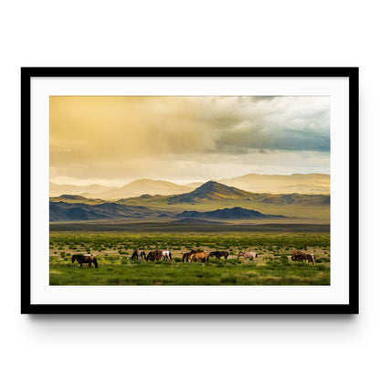 Mongolia