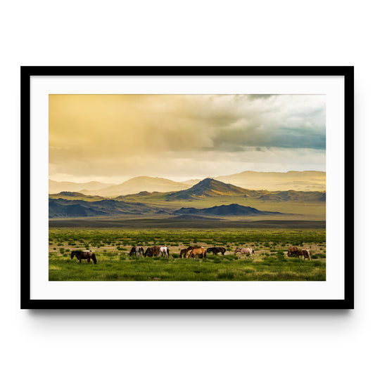 Mongolia
