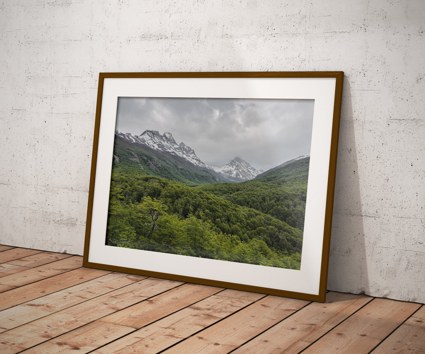 Torres del Paine Forest - Chile