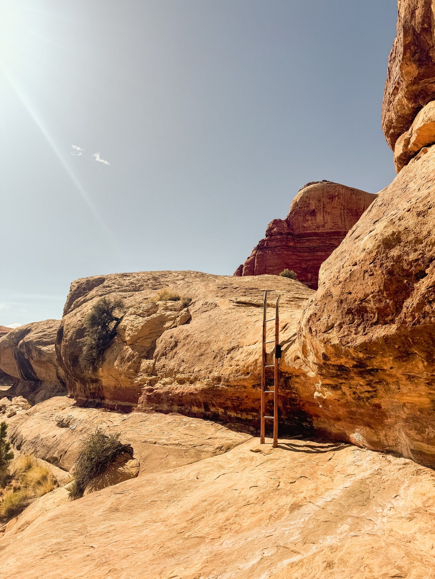 Guide Backpacking Canyonlands The Needles