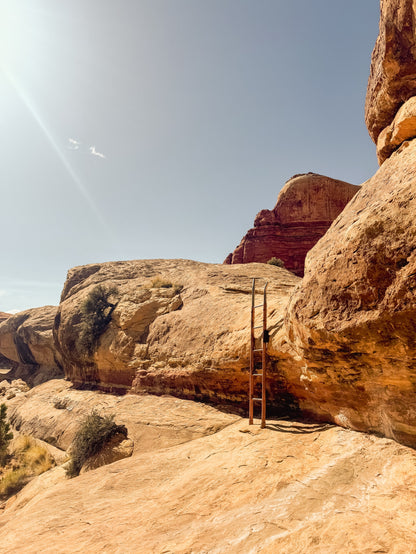 Guide Backpacking Canyonlands The Needles