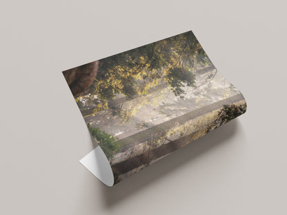 Sierra Forest