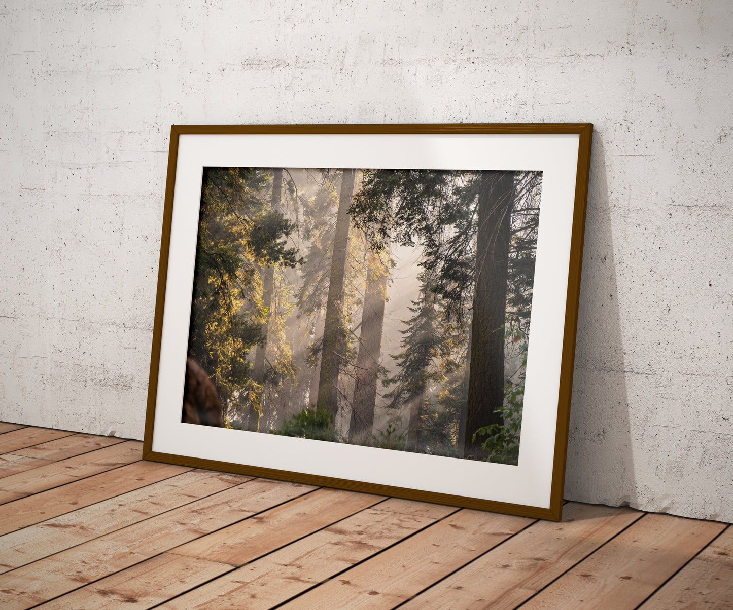 Sierra Forest
