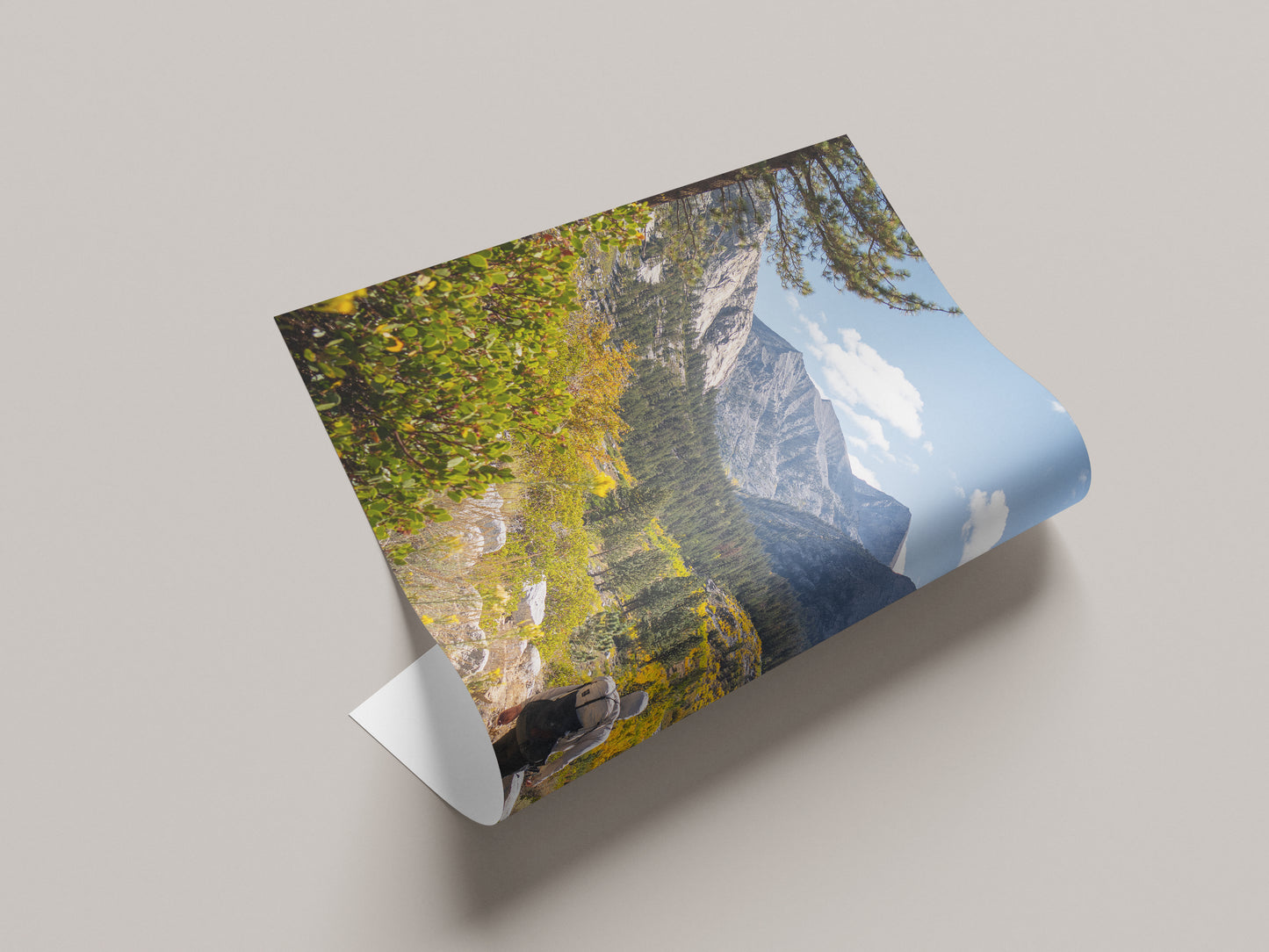 Fall colors in the Sierras