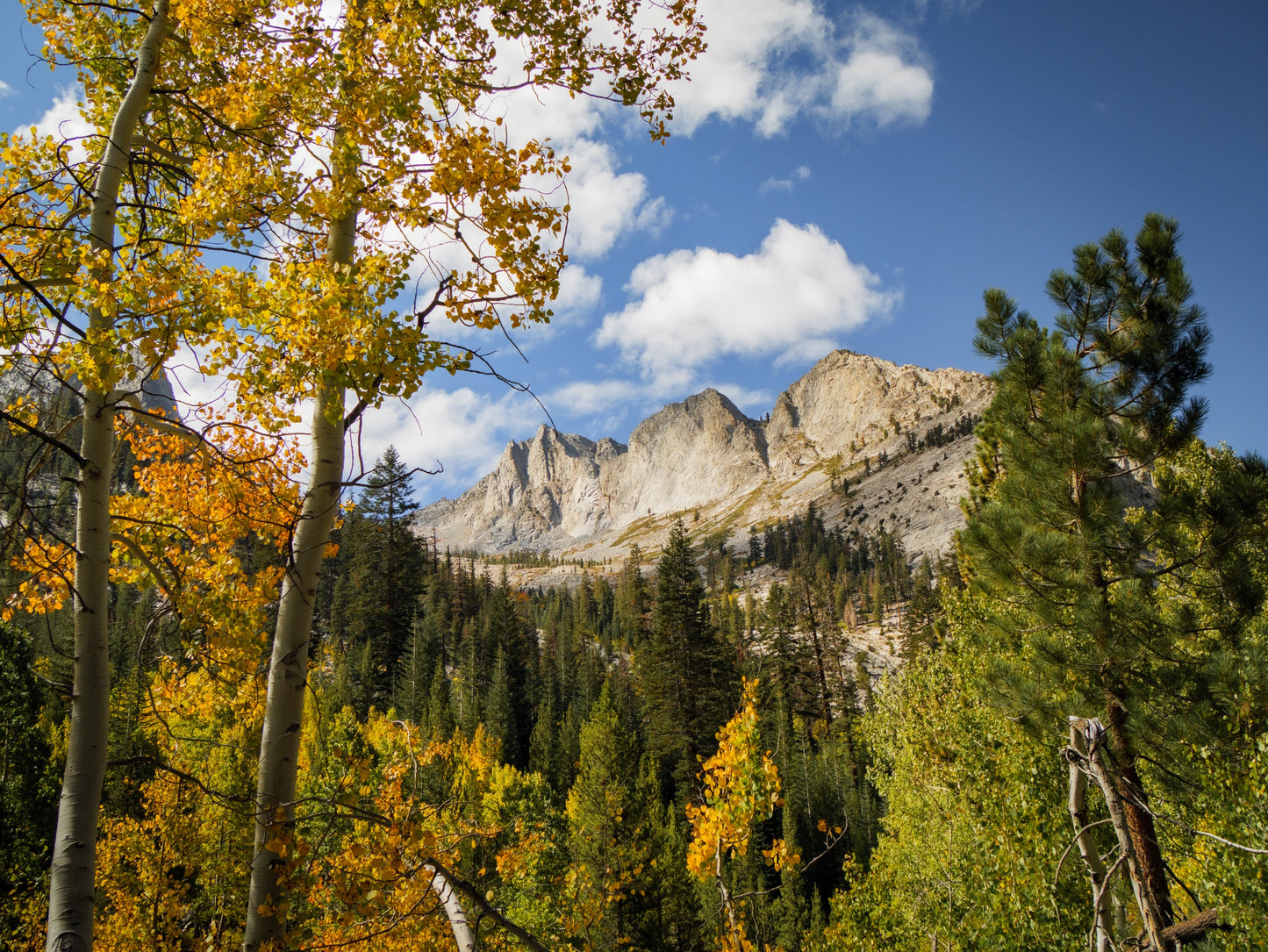 Guide Backpacking Sequoia & Kings Canyon