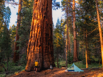 Guide Backpacking Sequoia & Kings Canyon