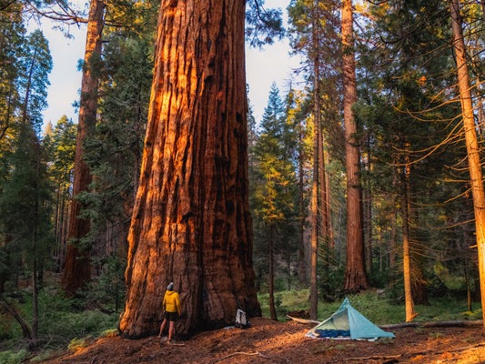 Guide Backpacking Sequoia & Kings Canyon