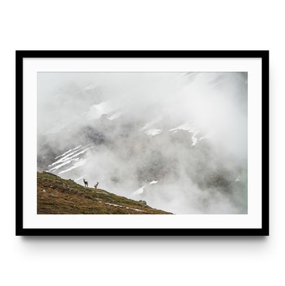 Into the Mist
