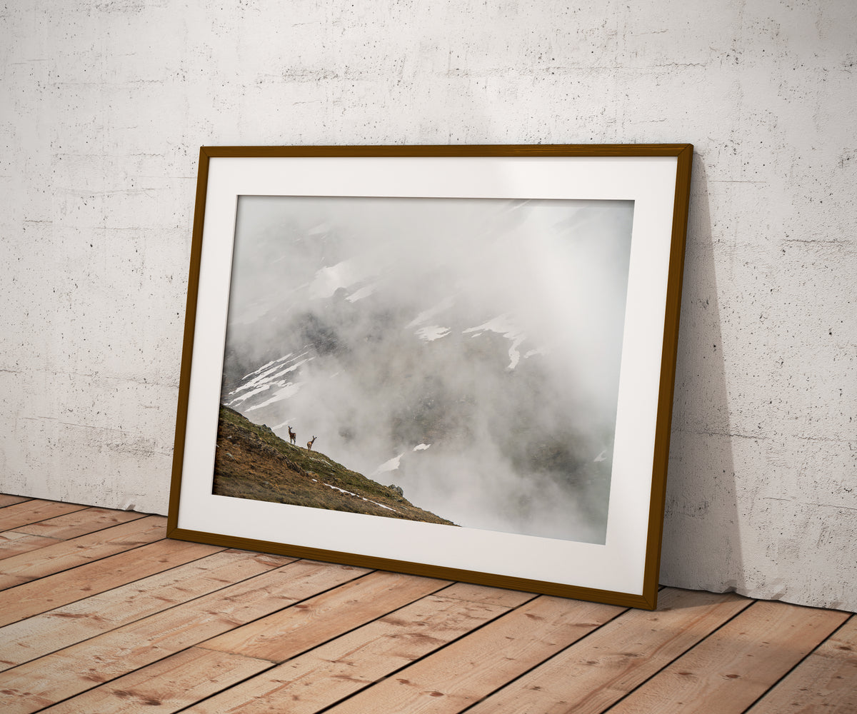 Into the Mist