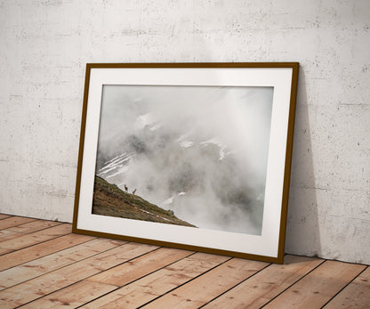 Into the Mist