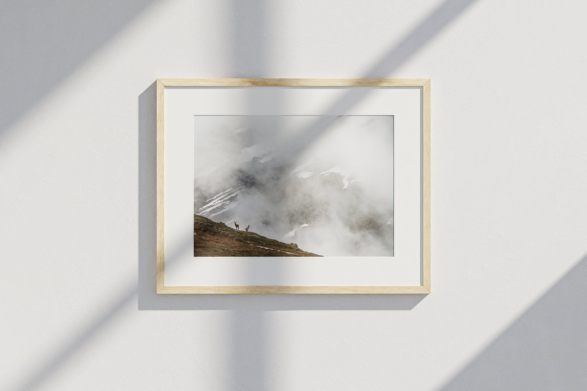 Into the Mist