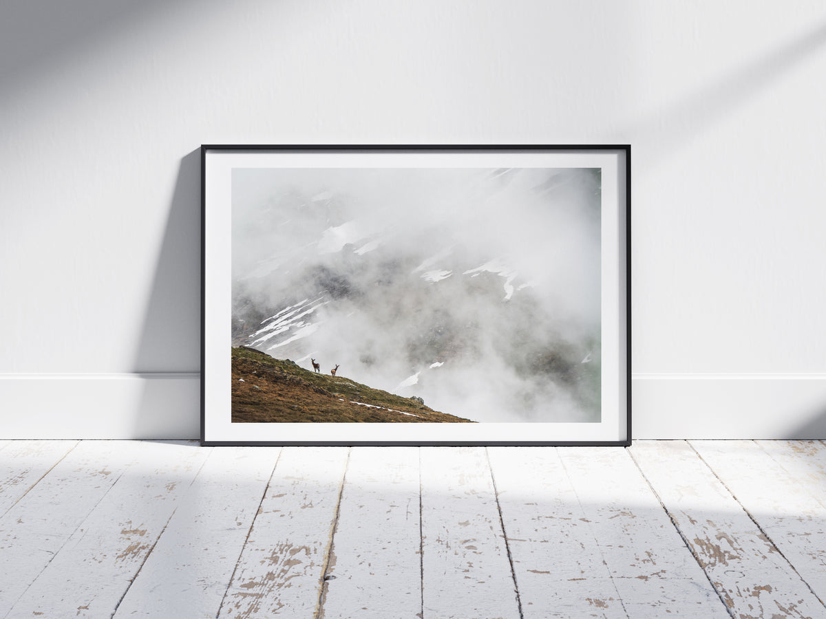 Into the Mist