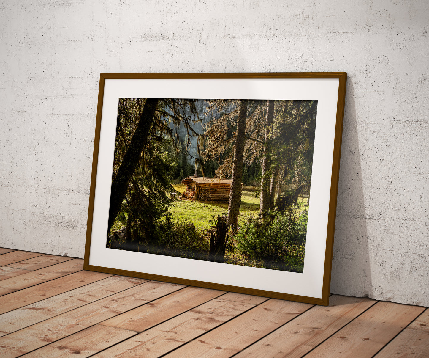 Cabin in the Canadian Rockies