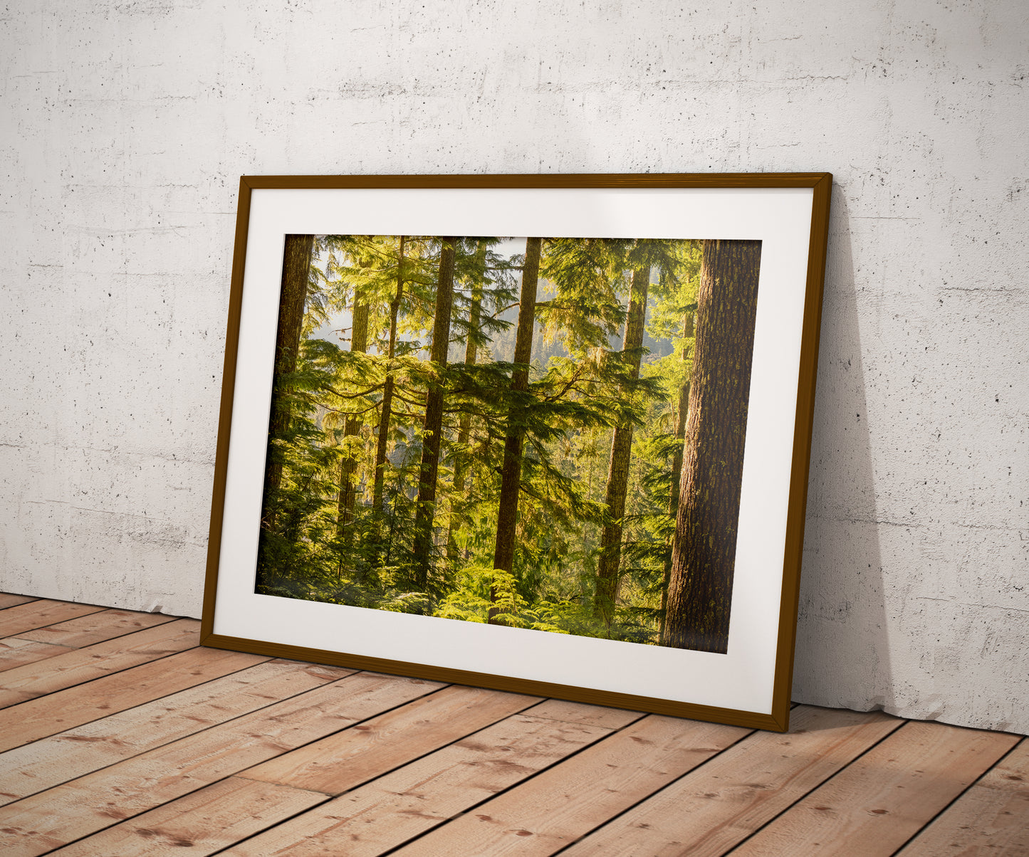 Pacific Northwest Forest