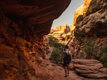 Guide Backpacking Canyonlands The Needles