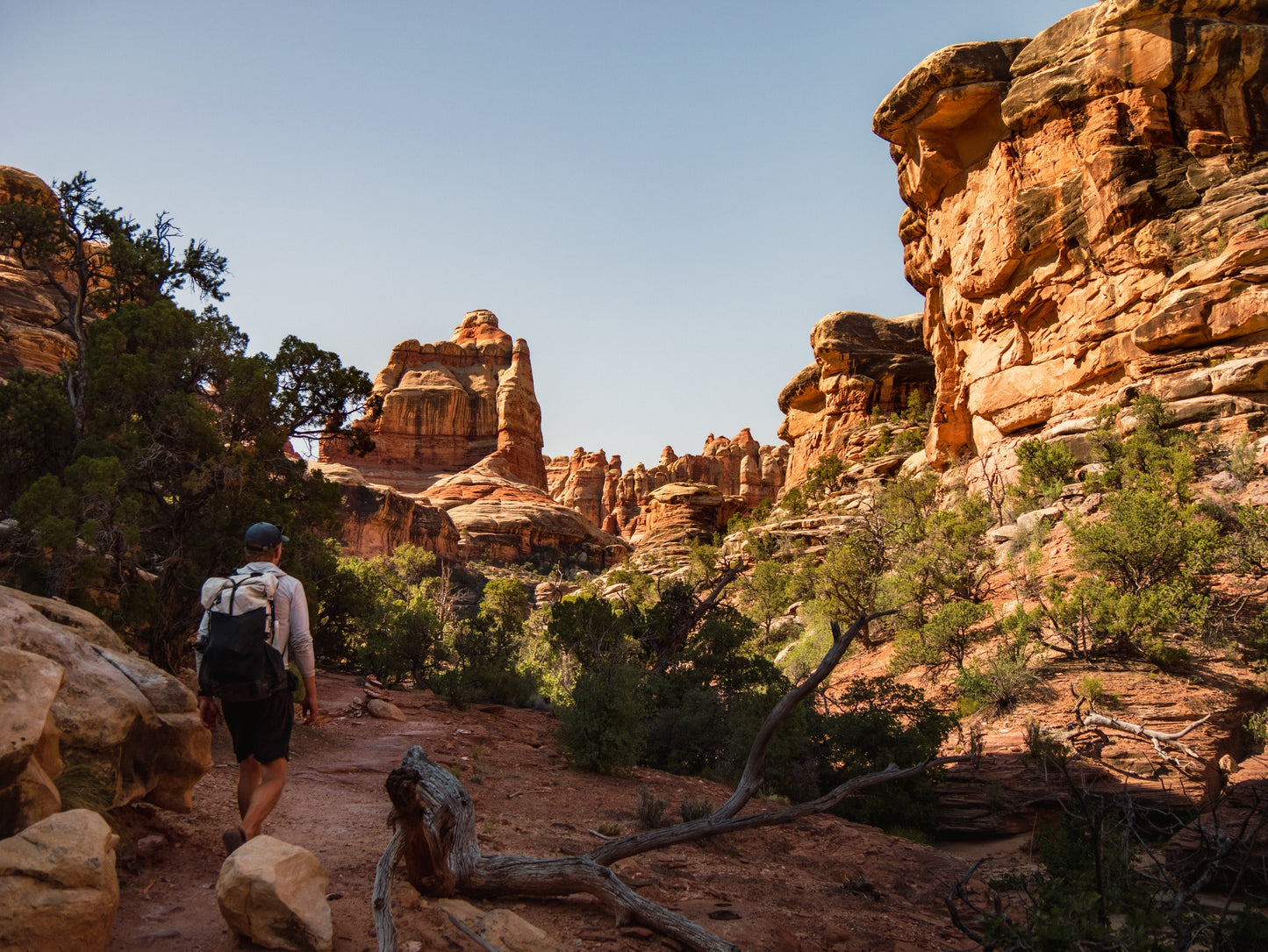 Guide Backpacking Canyonlands The Needles