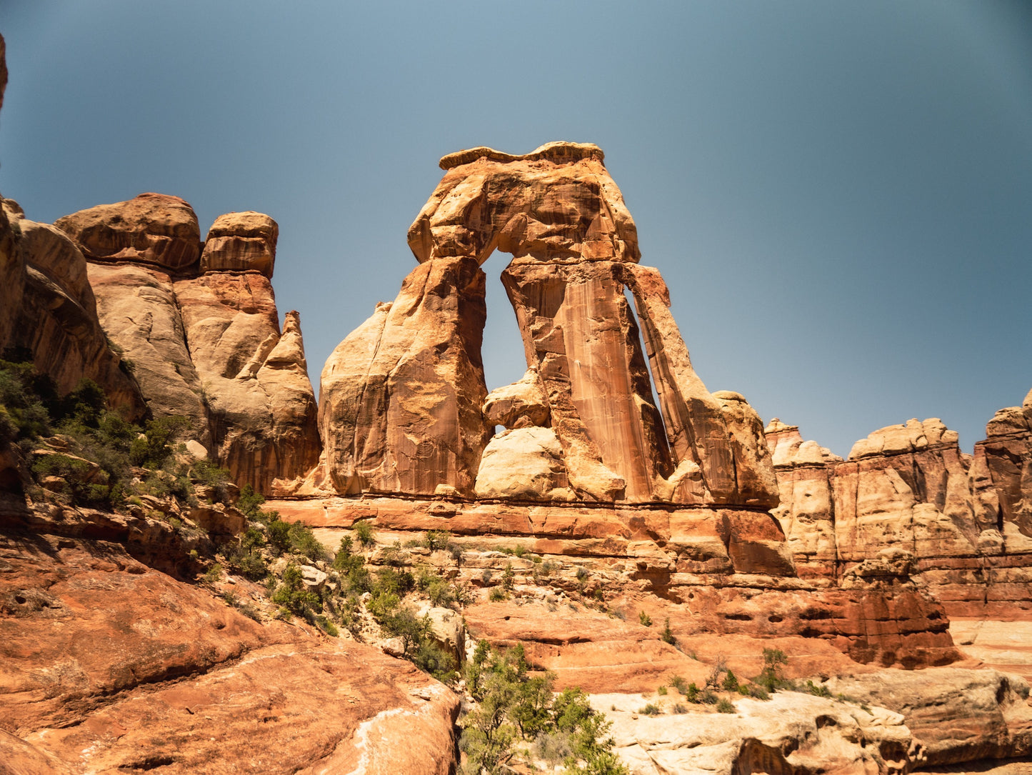Guide Backpacking Canyonlands The Needles