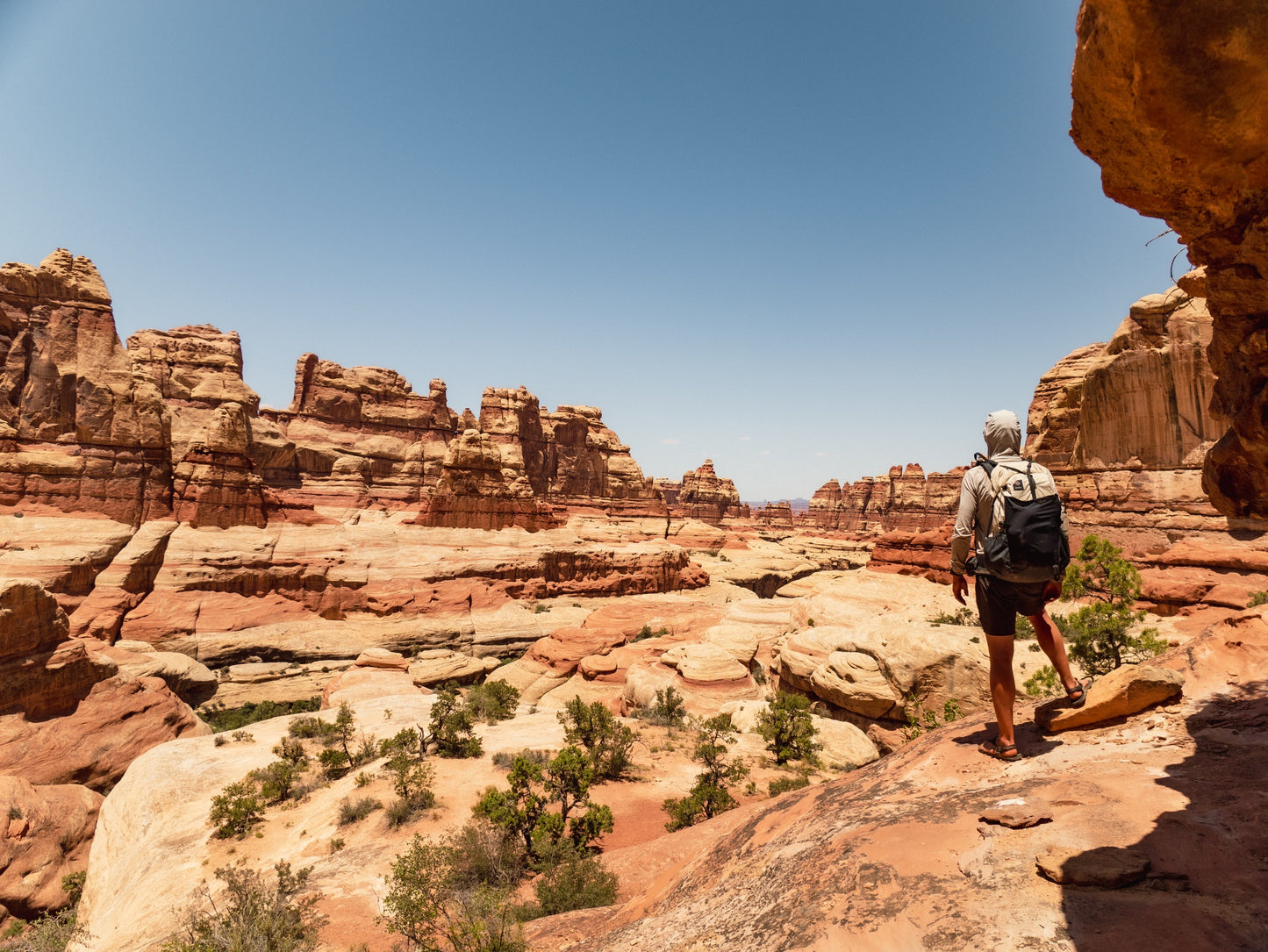 Guide Backpacking Canyonlands The Needles