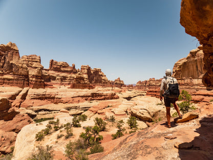Guide Backpacking Canyonlands The Needles