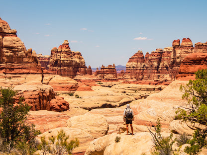 Guide Backpacking Canyonlands The Needles