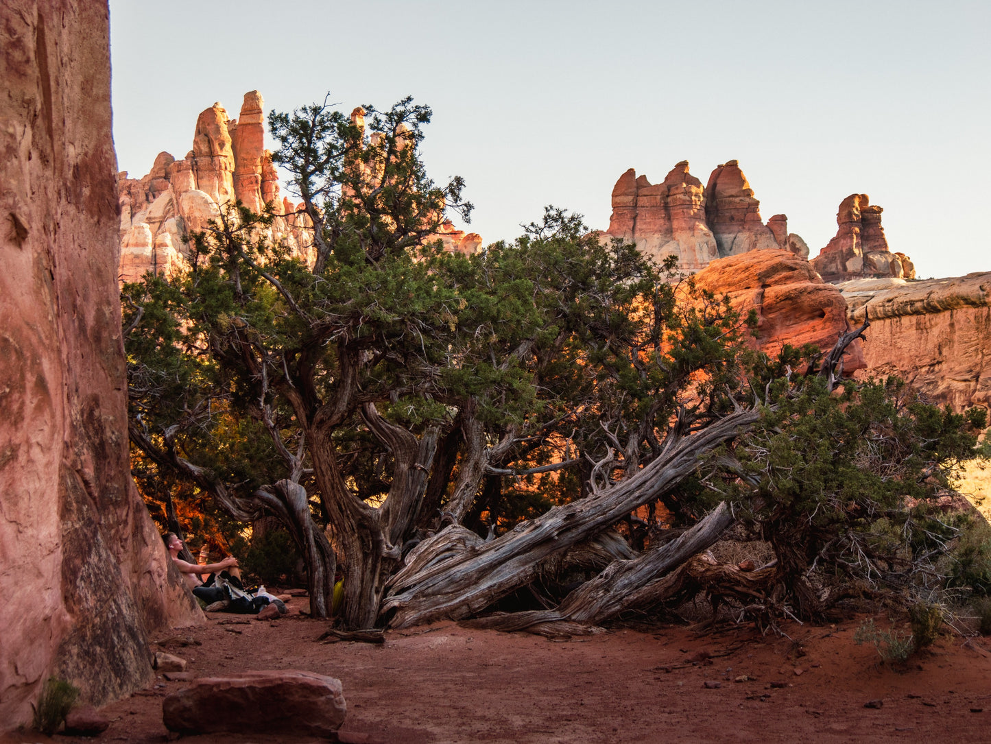 Guide Backpacking Canyonlands The Needles