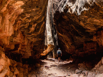 Guide Backpacking Canyonlands The Needles