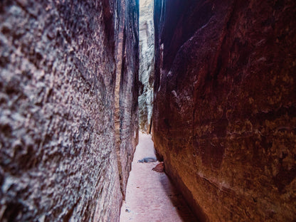 Guide Backpacking Canyonlands The Needles