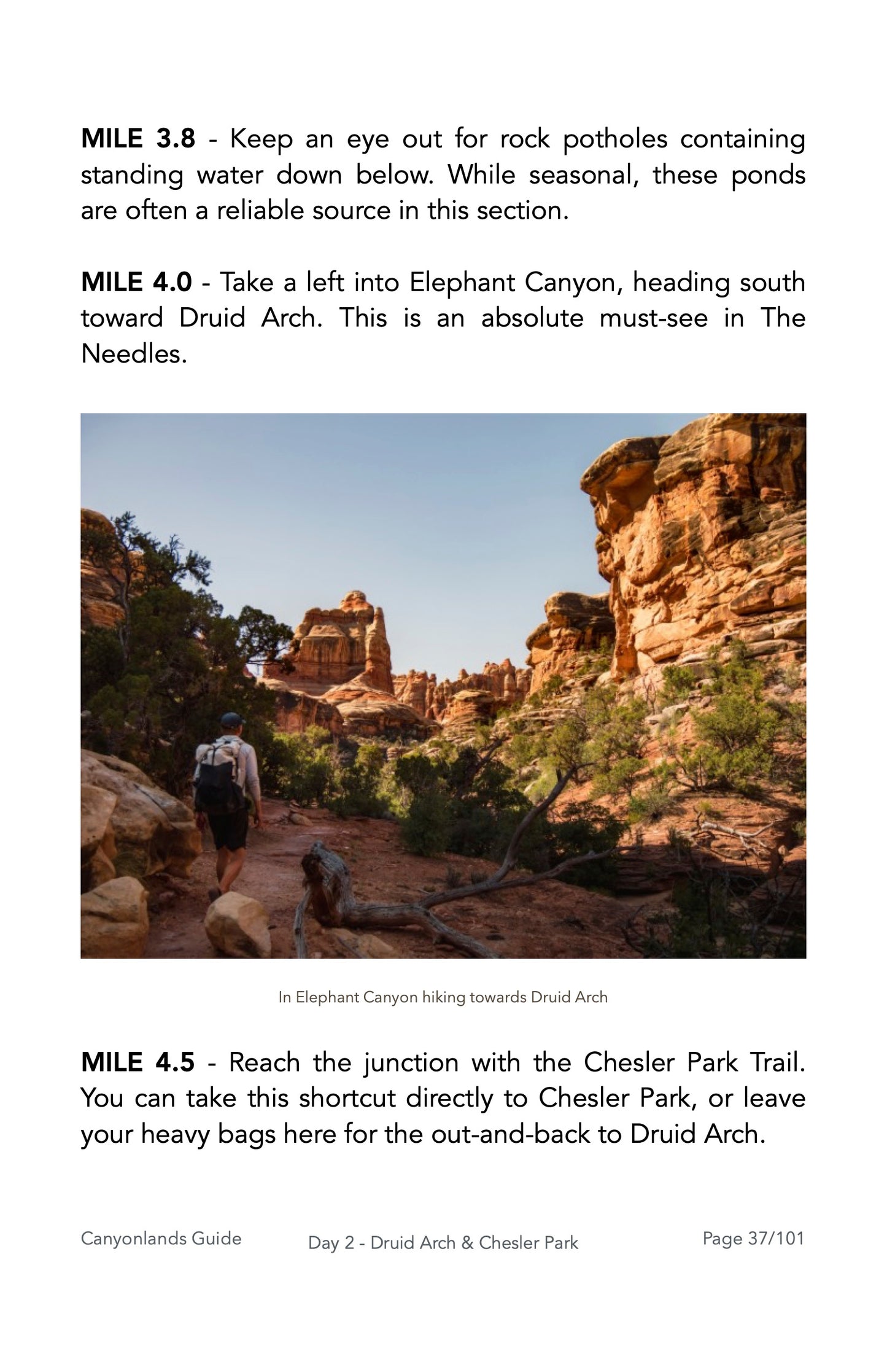 Guide Backpacking Canyonlands The Needles