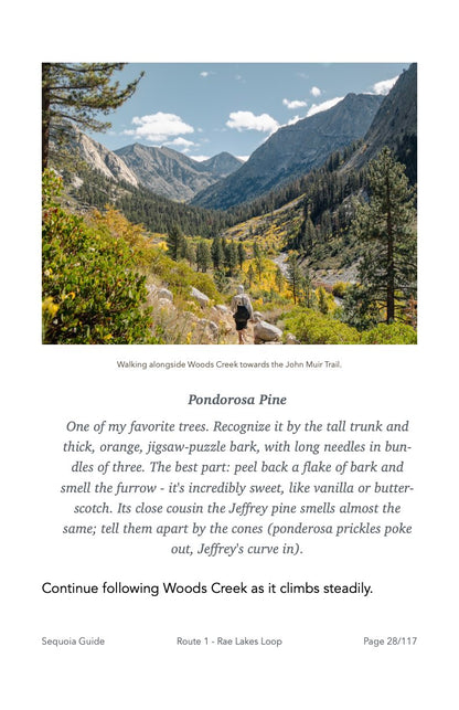 Guide Backpacking Sequoia & Kings Canyon